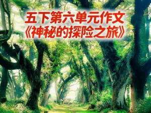 奇妙探险之旅：初探未知世界的神秘六人组