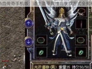 热血传奇手机版：道士盔甲属性与获取方式全揭秘