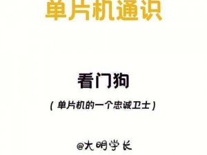 如何配置看门狗？了解这些需求让你的设备更安全