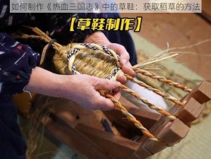 如何制作《热血三国志》中的草鞋：获取稻草的方法