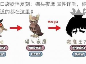 《口袋妖怪复刻：猫头夜鹰 属性详解，你想知道的都在这里》