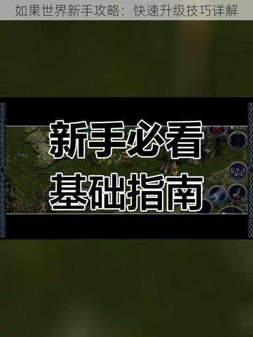 如果世界新手攻略：快速升级技巧详解