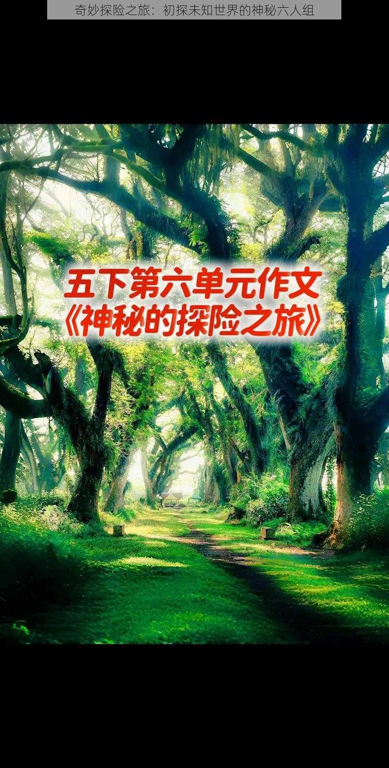 奇妙探险之旅：初探未知世界的神秘六人组