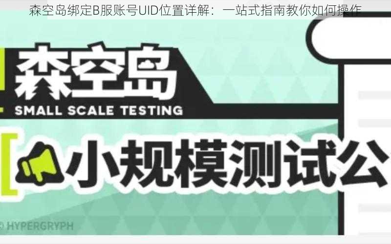 森空岛绑定B服账号UID位置详解：一站式指南教你如何操作