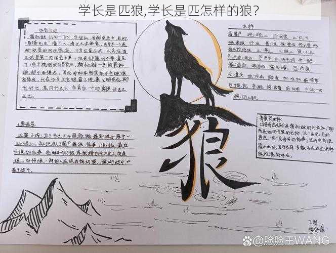 学长是匹狼,学长是匹怎样的狼？