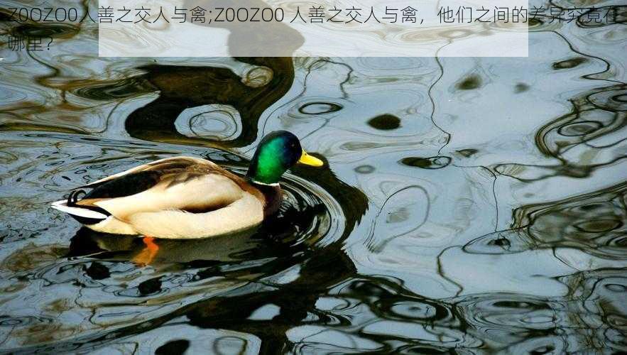 Z0OZO0人善之交人与禽;Z0OZO0 人善之交人与禽，他们之间的差异究竟在哪里？