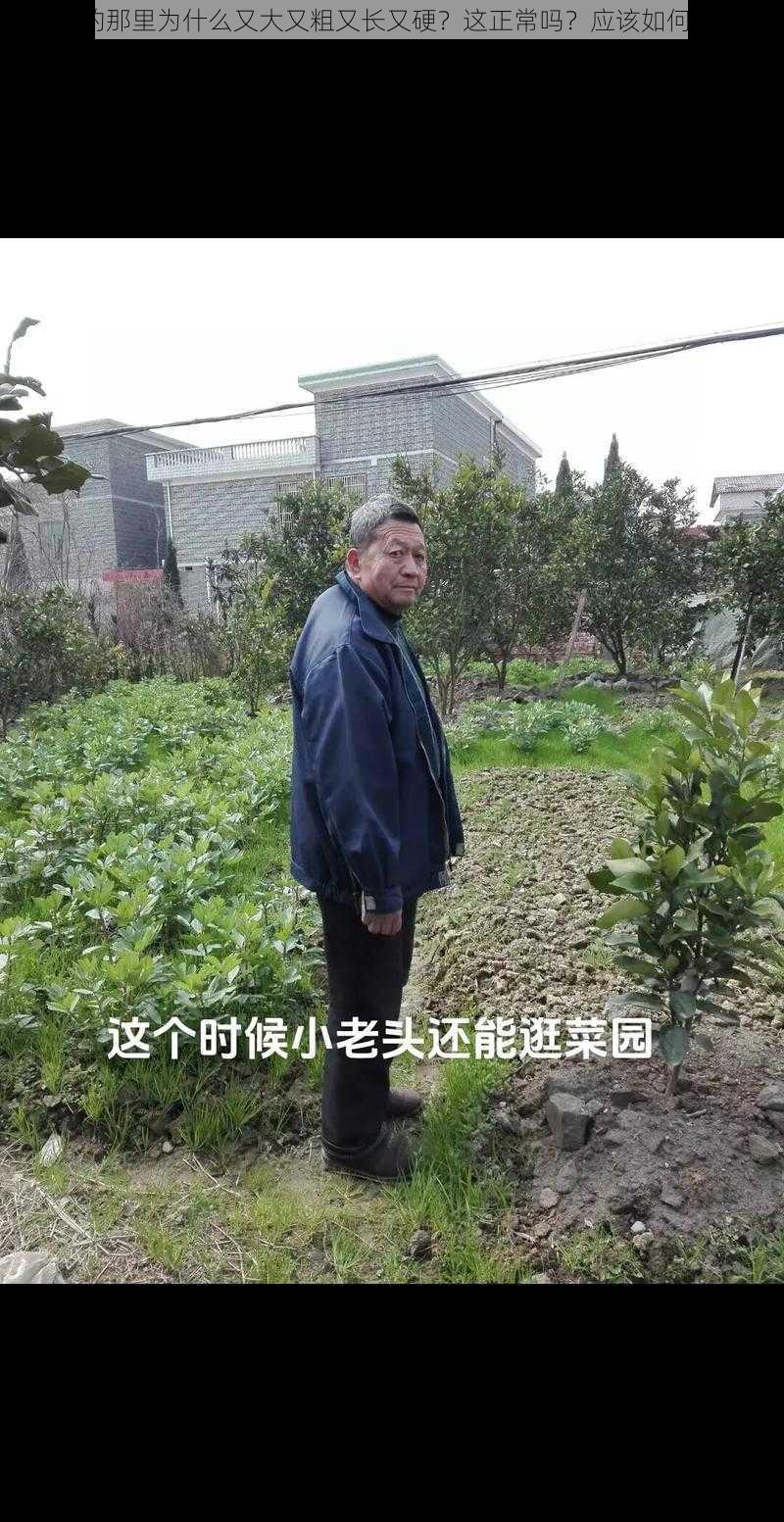 老头的那里为什么又大又粗又长又硬？这正常吗？应该如何改善？