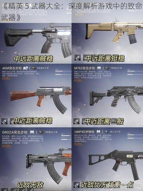 《精英 5 武器大全：深度解析游戏中的致命武器》