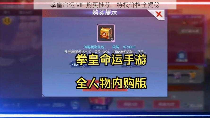 拳皇命运 VIP 购买推荐：特权价格全揭秘