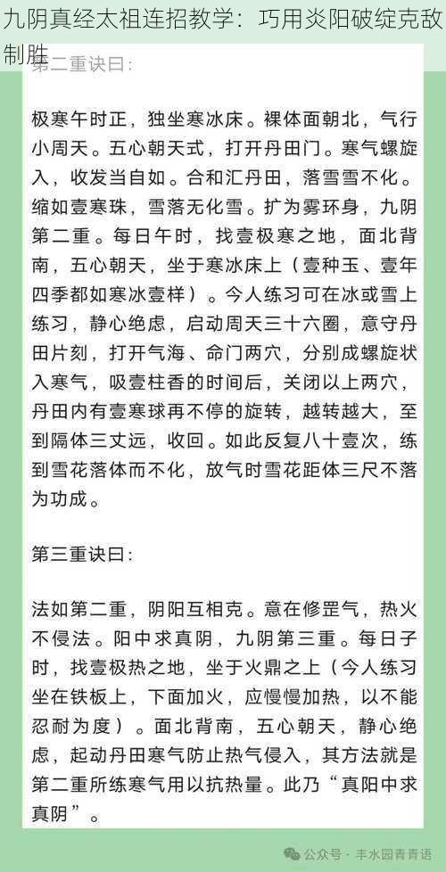 九阴真经太祖连招教学：巧用炎阳破绽克敌制胜