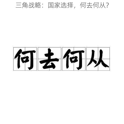 三角战略：国家选择，何去何从？