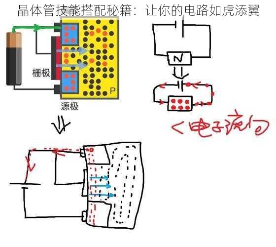 晶体管技能搭配秘籍：让你的电路如虎添翼