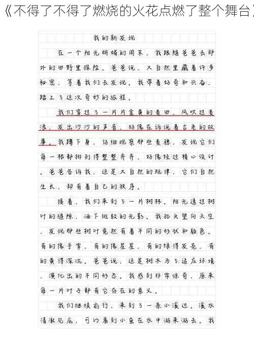 《不得了不得了燃烧的火花点燃了整个舞台》