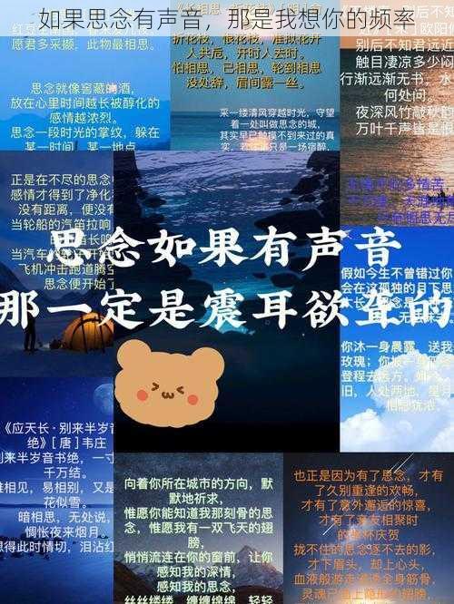 如果思念有声音，那是我想你的频率