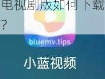 小蓝视频免费观看电视剧版如何下载？
