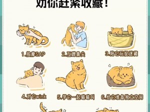 偷腥小妖后牌猫粮，让你的猫咪欲罢不能