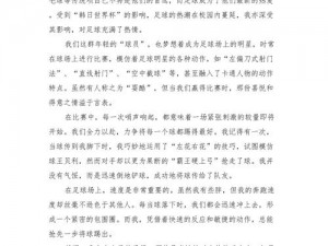 《足球经理 2012：从新手到大师的经验心得》