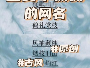 四虎永久地域网名2021知乎(四虎永久地域网名 2021 知乎：探索未知的地域世界)