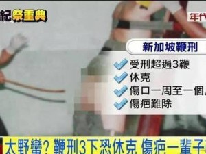 在什么情况下会有人被鞭打折磨夹乳还吊起来，并且表现出很强的奴性？