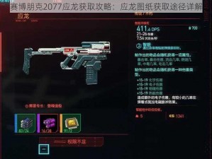 赛博朋克2077应龙获取攻略：应龙图纸获取途径详解