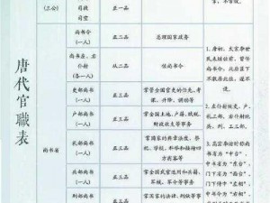 大唐二职业技能详解：掌握实用技艺，领略盛唐风采的工匠之路