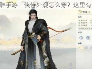 《射雕手游：侠侍外观怎么穿？这里有攻略》