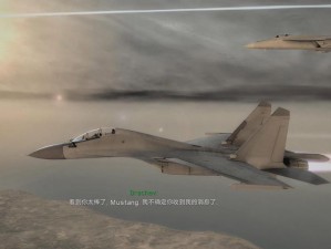 鹰击长空2：无法开始游戏弹回主菜单的解决指南