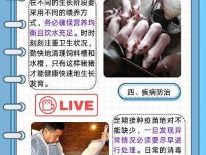 畜禽 Croproationkg 牧场：如何解决畜禽养殖中的痛点？