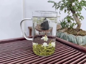 宝宝C1V1温茶 宝宝 C1V1 温茶，是智商税吗？