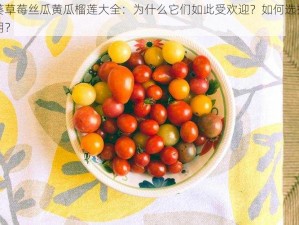 秋葵草莓丝瓜黄瓜榴莲大全：为什么它们如此受欢迎？如何选择和食用？