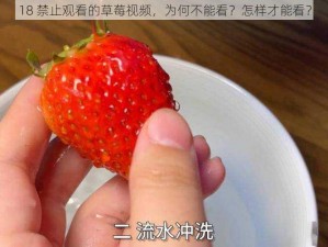 18 禁止观看的草莓视频，为何不能看？怎样才能看？