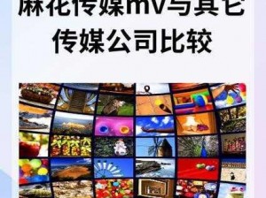 国产麻花豆剧传媒精品MV【国产麻花豆剧传媒精品 MV 大放送】