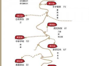 小草回家路线 1：为什么找不到回家的路？如何解决？