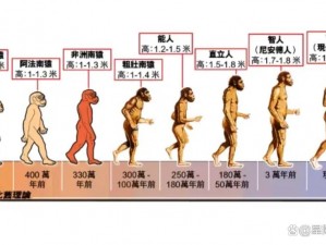 动物dna与人类dna融合_动物 DNA 与人类 DNA 融合，人类会发生怎样的变化？