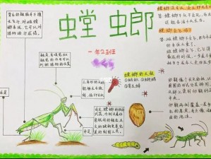 如龙7银系列昆虫获取全解析：银虫藏身何处？探寻银系列昆虫的秘密之旅