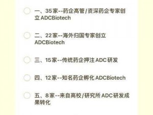 adc 年龄确认章节最新：为何它如此重要？如何确保合规？