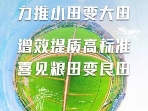 大地资源二中文在线观看官网有什么用？如何通过大地资源二中文在线观看官网获取资源？