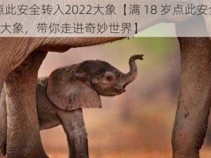 满18点此安全转入2022大象【满 18 岁点此安全转入 2022 大象，带你走进奇妙世界】