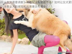 为什么女犬需要调教？调教女犬有哪些方法？如何让女犬更听话？调教女犬的技巧和注意事项有哪些？