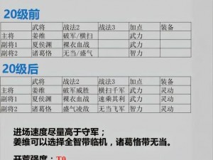 《三国志战棋版廖化玩法攻略：战棋版廖化阵容搭配策略》