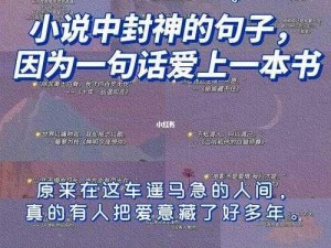 欧洲无人区天空码头 IV 在哪一本小说中受到广泛传播？为何它如此受欢迎？