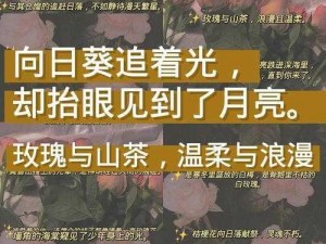 如何解决不朽之爱玫瑰游戏进不去的问题