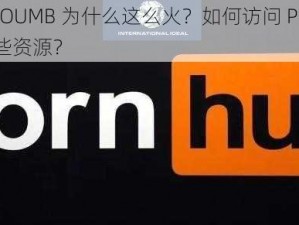 美国 P 站 PROUMB 为什么这么火？如何访问 PROUMB？PROUMB 有哪些资源？