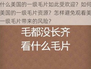 为什么美国的一级毛片如此受欢迎？如何找到美国的一级毛片资源？怎样避免观看美国的一级毛片带来的风险？