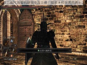 黑暗之魂PC版誓约联盟全面攻略：探索未知世界的勇士之路