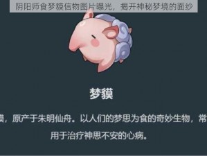 阴阳师食梦貘信物图片曝光，揭开神秘梦境的面纱