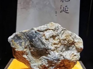 龙涎香来自哪种海洋生物、龙涎香是抹香鲸肠内分泌物的干燥品，这种用于制作名贵香料的物质究竟来自哪种海洋生物呢？