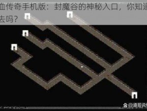 热血传奇手机版：封魔谷的神秘入口，你知道怎么去吗？