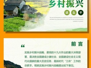 《村庄生活纪实：探索中国乡村治理与发展的新路径》