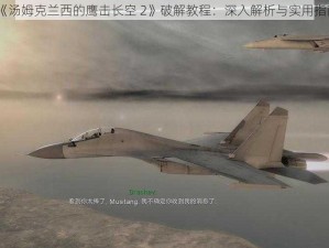 《汤姆克兰西的鹰击长空 2》破解教程：深入解析与实用指南